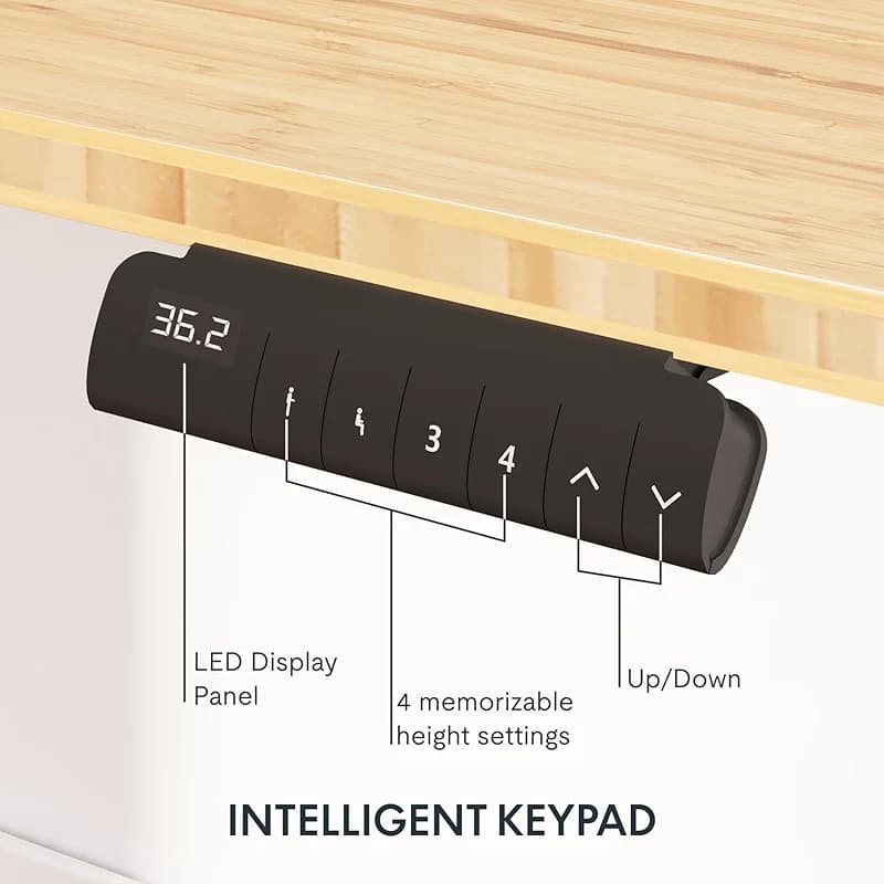 FLEXISPOT E6 Bamboo 3-Stage Dual Motor Electric Standing Desk 55 x 28 Sit — image 3